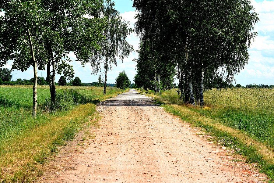 Lubelska gruntówka