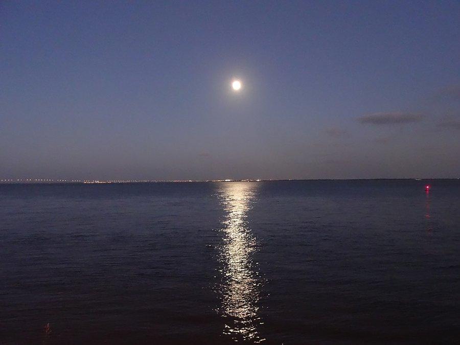 Księżyc / The moon