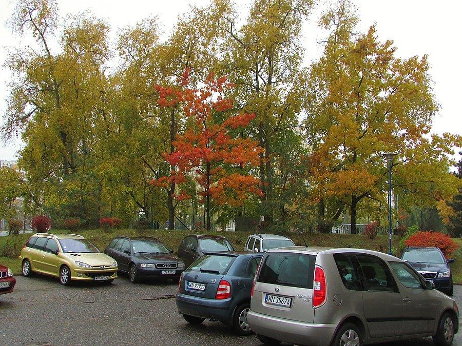 Parking przy Indiry Gandhi