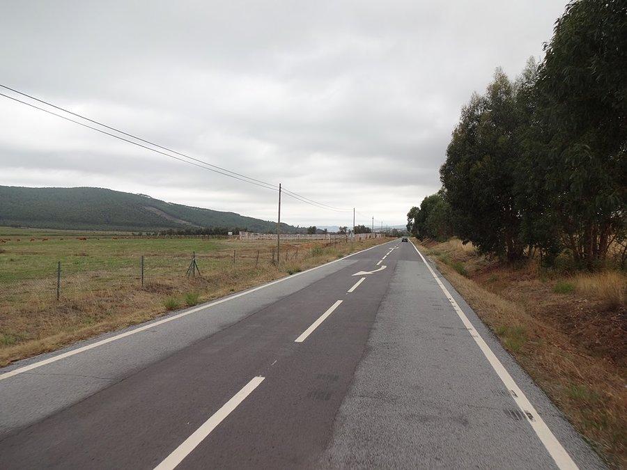 Droga / The Road