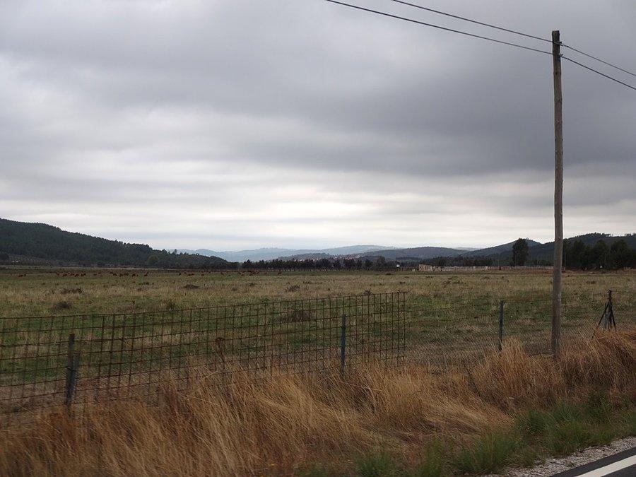 Pochmurnie / Cloudy