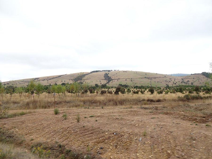 Widoczek / View
