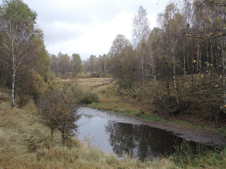 Uroczysko Dible