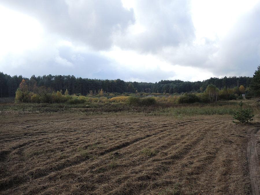Widok na lokalizację zbiornika Okuninko / akwen jst dość zarośnięty