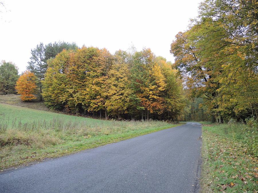 Jesień w Goraju