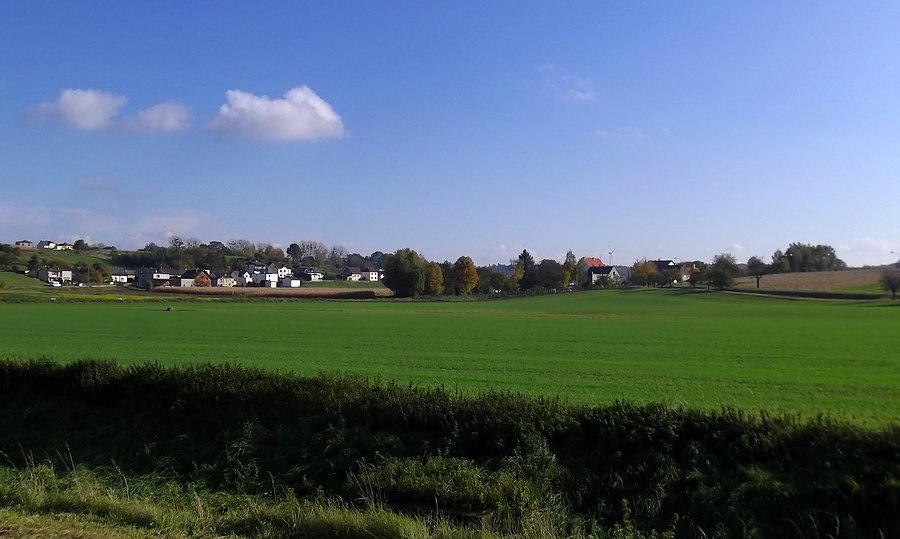 Owsiszcze z Píšť