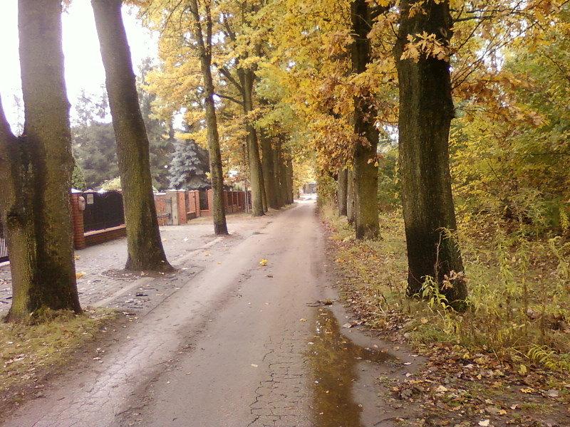Ul. Kondka