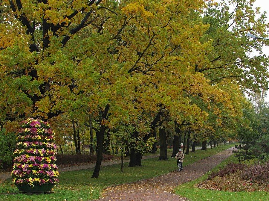 Na rogu al. KEN i ul. Jeżewskiego