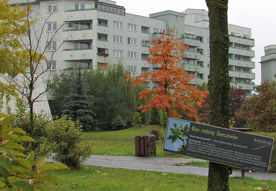 Prywatny park - Park Powałki
