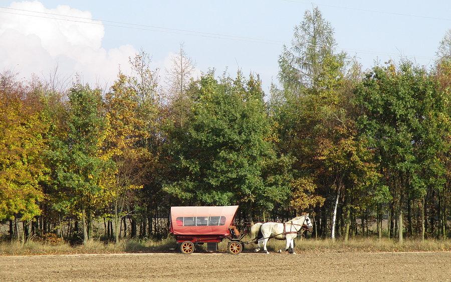 Hmm, czyżby to nowi osadnicy rodem z dzikiego zachodu ? ;)
