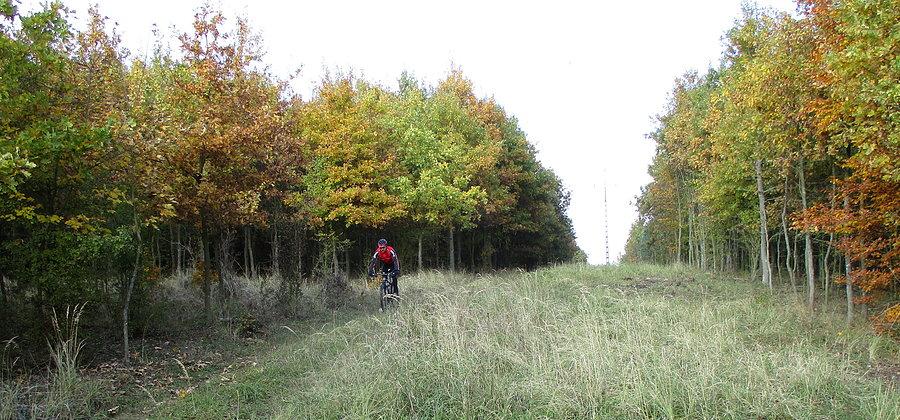 Jakaś takaś ścieżka wokół Góreckiego istnieje - lokalesi o tym wiedzą