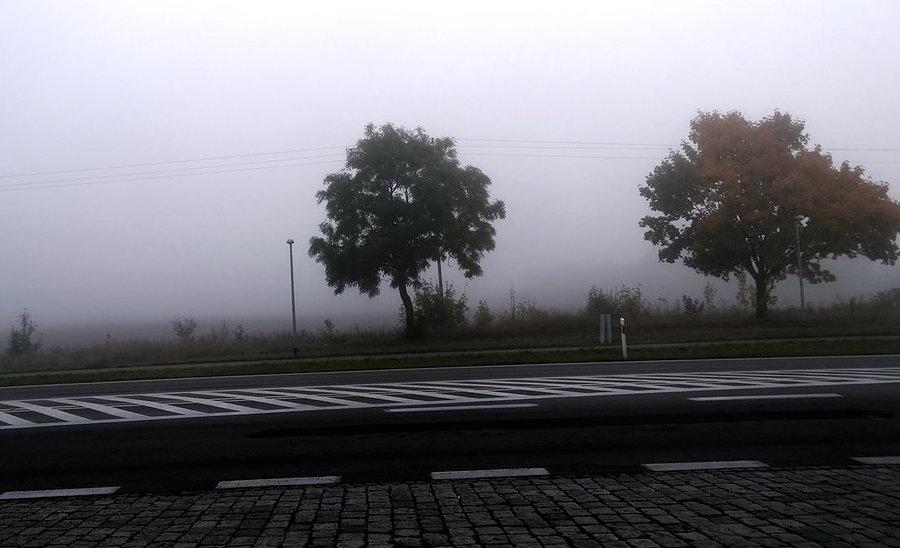Droga dojazdowa do Kołbaskowa - ciągle gęsta mgła