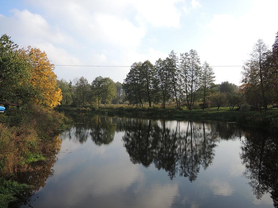 Gulczanka przed tamą / Gulcz-Młyn