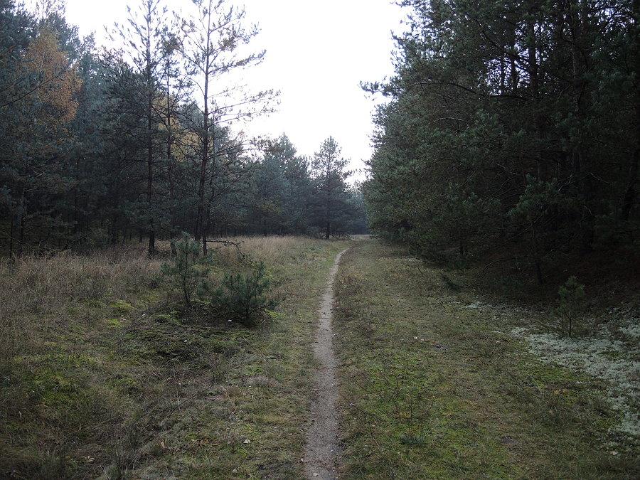 Ścieżka na nasypie linii kolejowej nr 206 łączącej stację Inowrocław Rąbinek ze stacją Drawski Młyn