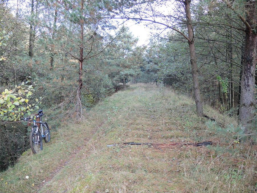 Nasyp nieczynnej linii kolejowej nr 206 / widać jeszcze pozostałości drewnianych podkładów