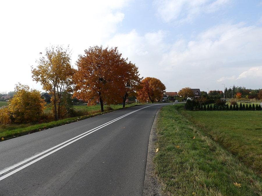 Szosa koło Pyszący