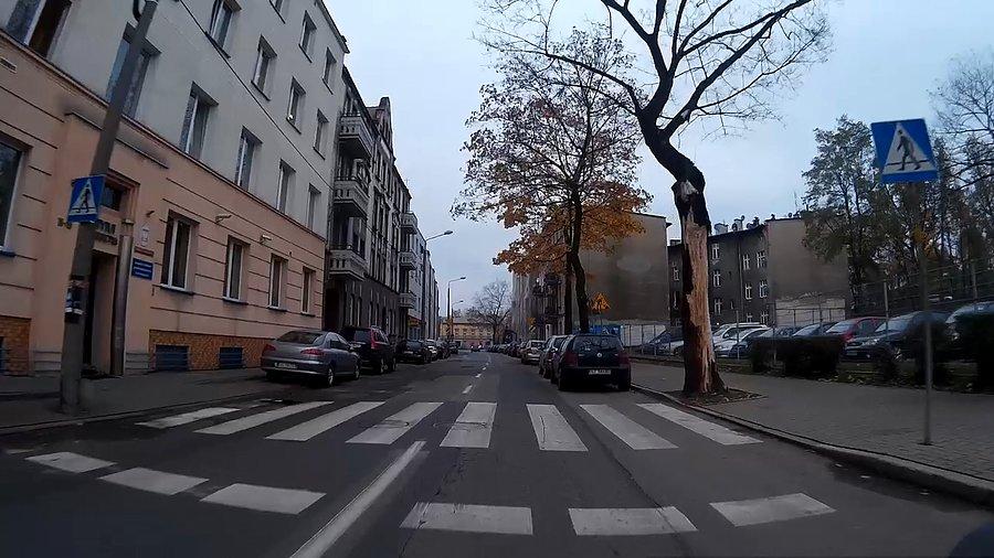 Kiedy tak oskubali to drzewo?
