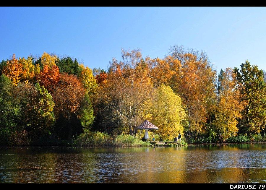 Sosnowiec Kazimierz - Park Miejski Imienia Jacka Kuronia