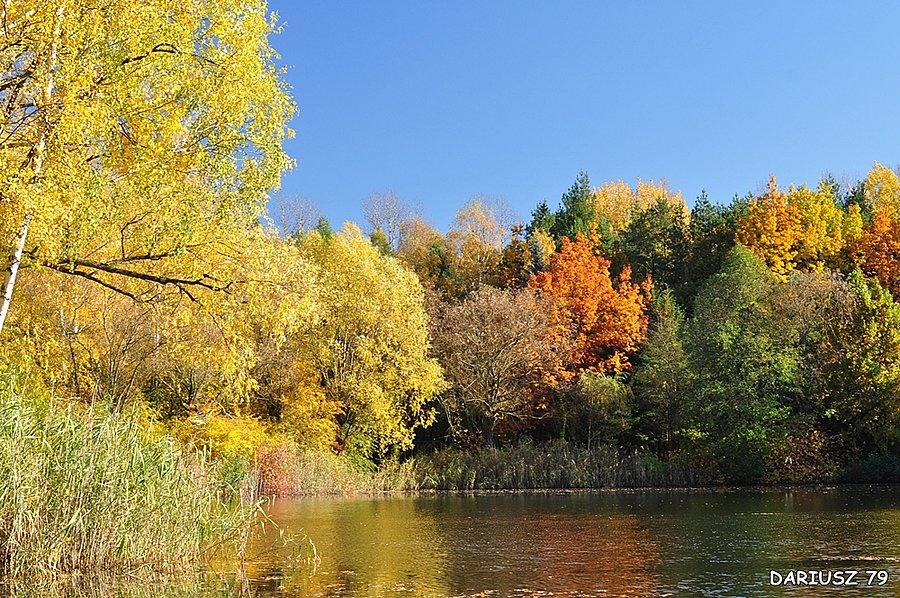 Sosnowiec Kazimierz - Park Miejski Imienia Jacka Kuronia