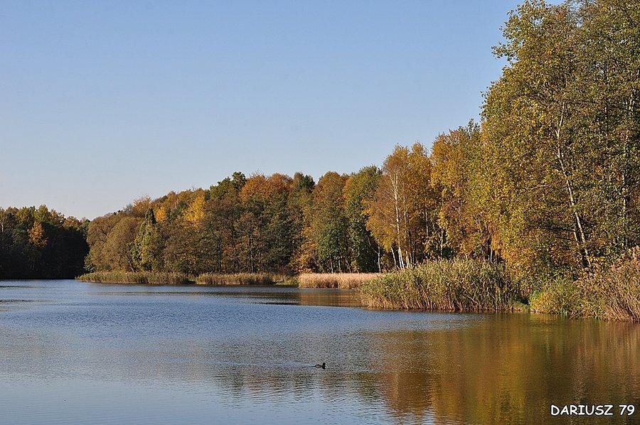 Sosnowiec Kazimierz - Park Miejski Imienia Jacka Kuronia (Staw Smug)