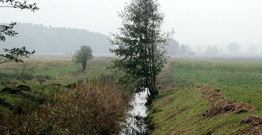 Dziś też było nieco mglisto - obrazek spod Sławoszewa