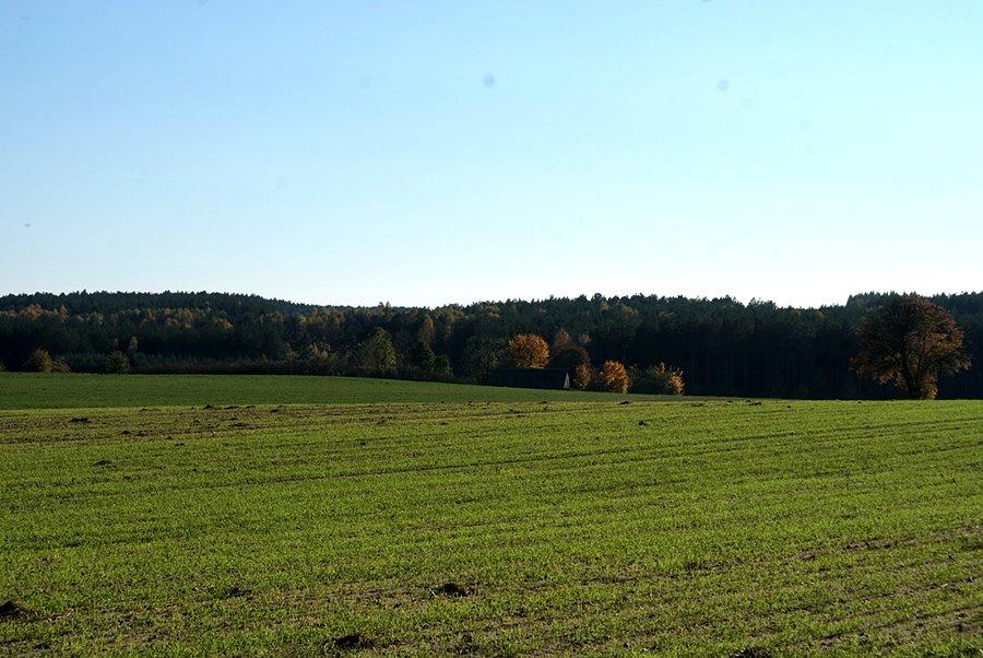 Pagórki w Syskach