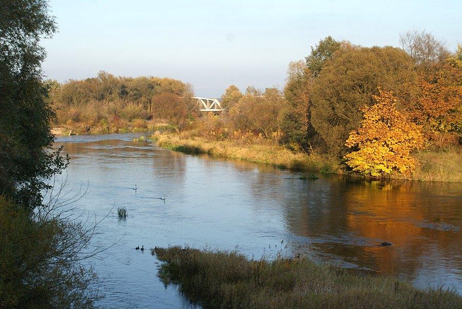 Widok z mostu drogowego nad Pilicą w Tomaszowie