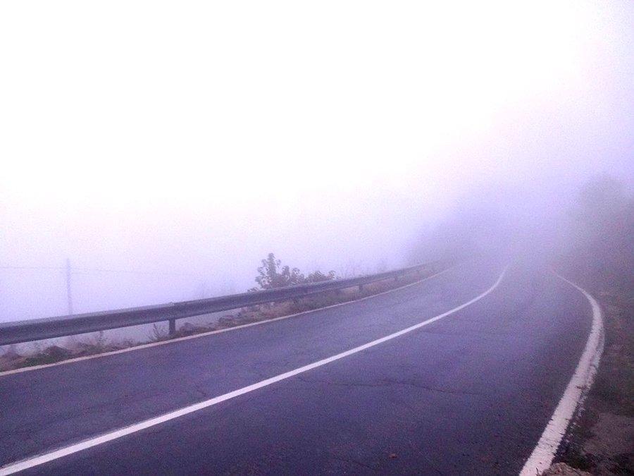 Mgliście / Foggy