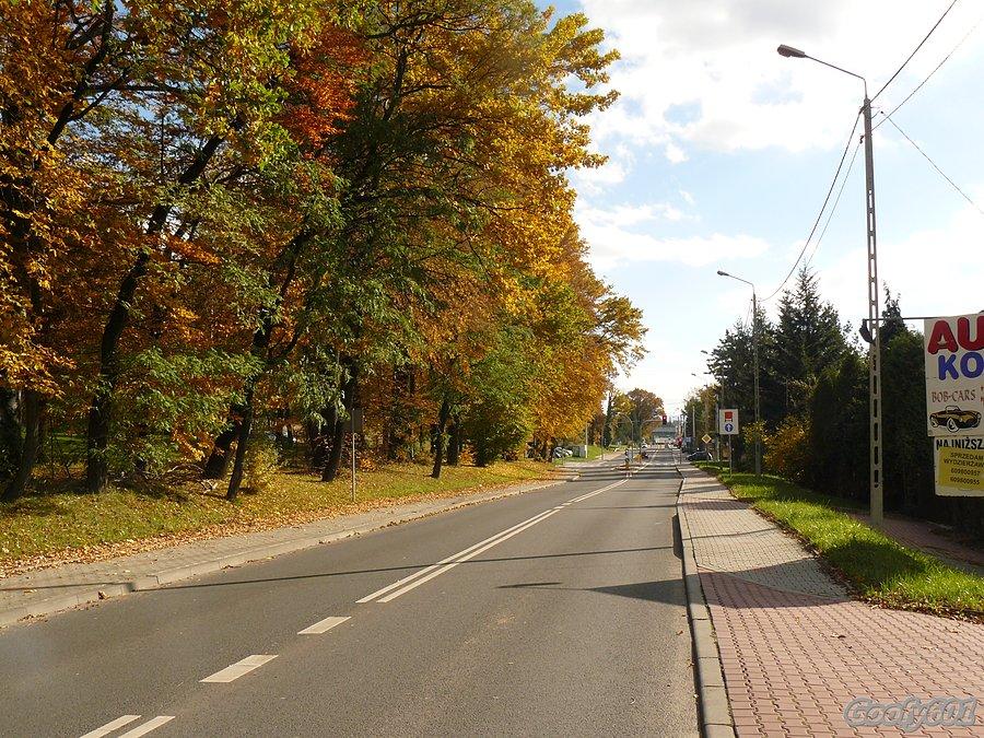 Złociście :)