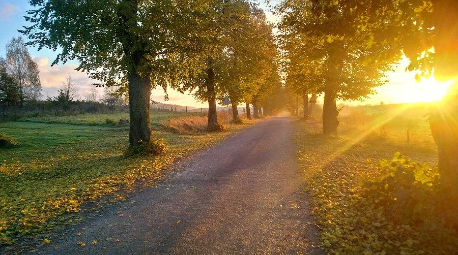 Jesienny świt