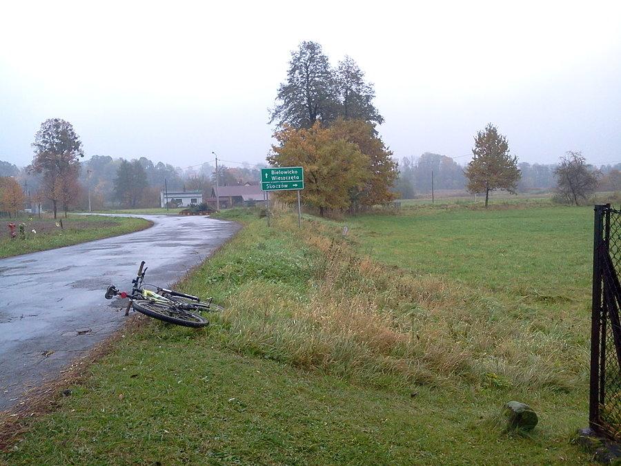 Kowale, kamień TK przy drodze