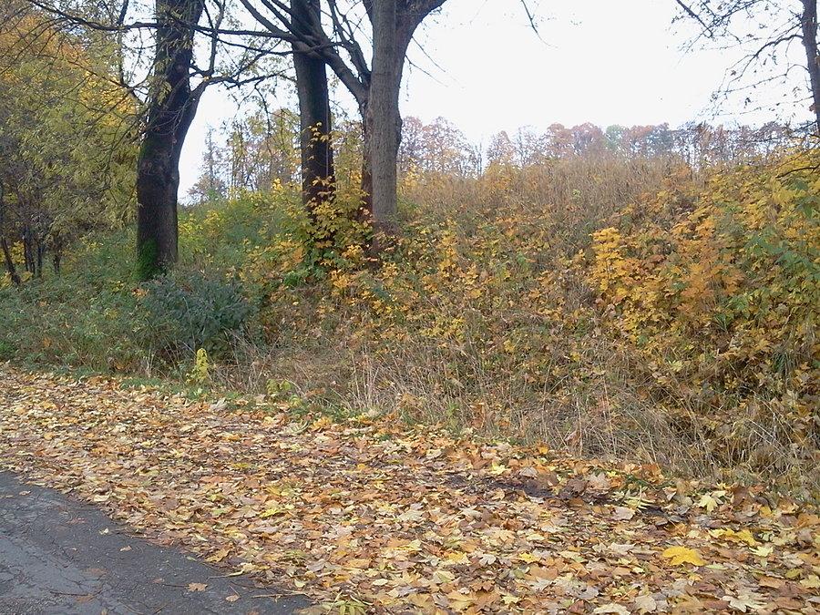 Grodzisko w Starym Bielsku (wał)