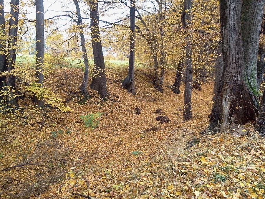 Grodzisko (fosa)