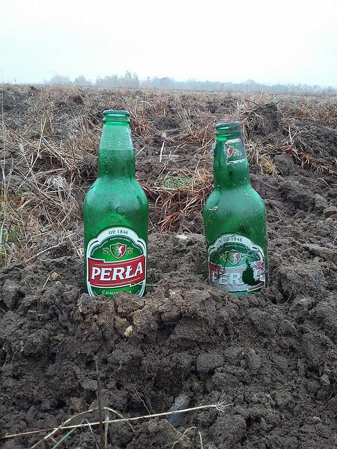 Plantacja piwa ;)