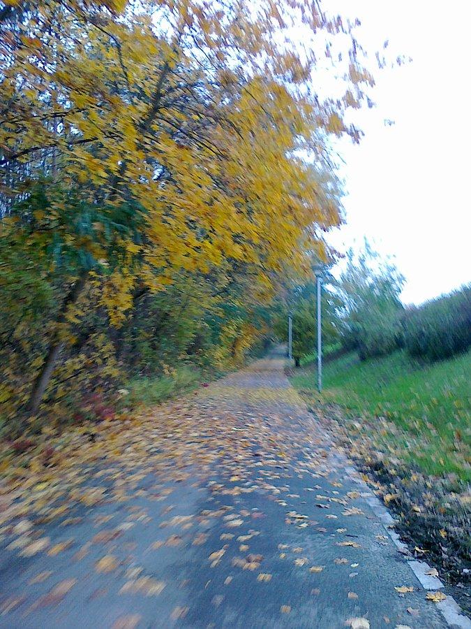 Przy Lasku Bielańskim