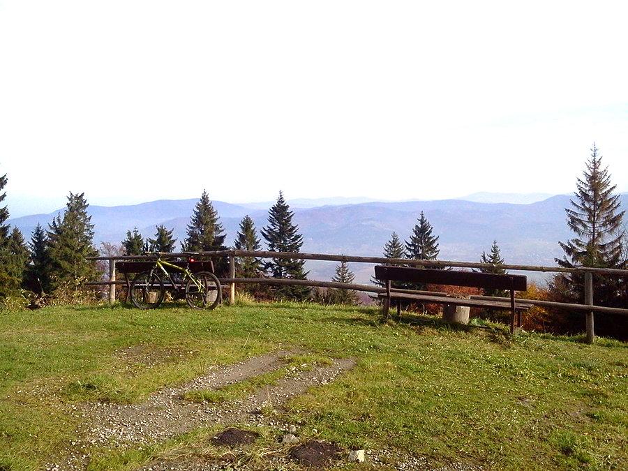 Koło schroniska