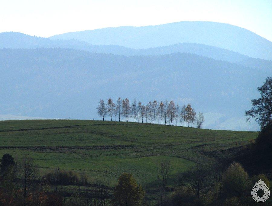 Znów coś pod Lackową