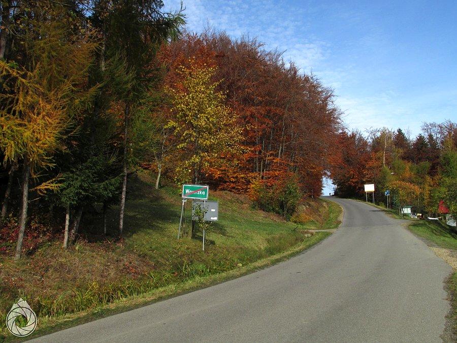 Wawrzka kolorowa