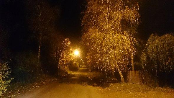 Jesień nocą