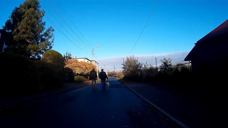 2 miśki idą drogą