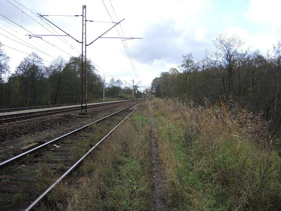 Wzdłuż linii kolejowej Szczecin - Poznań