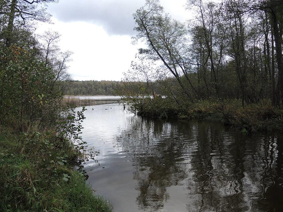 Rzeka Miała - widok w kierunku Jeziora Wielkiego
