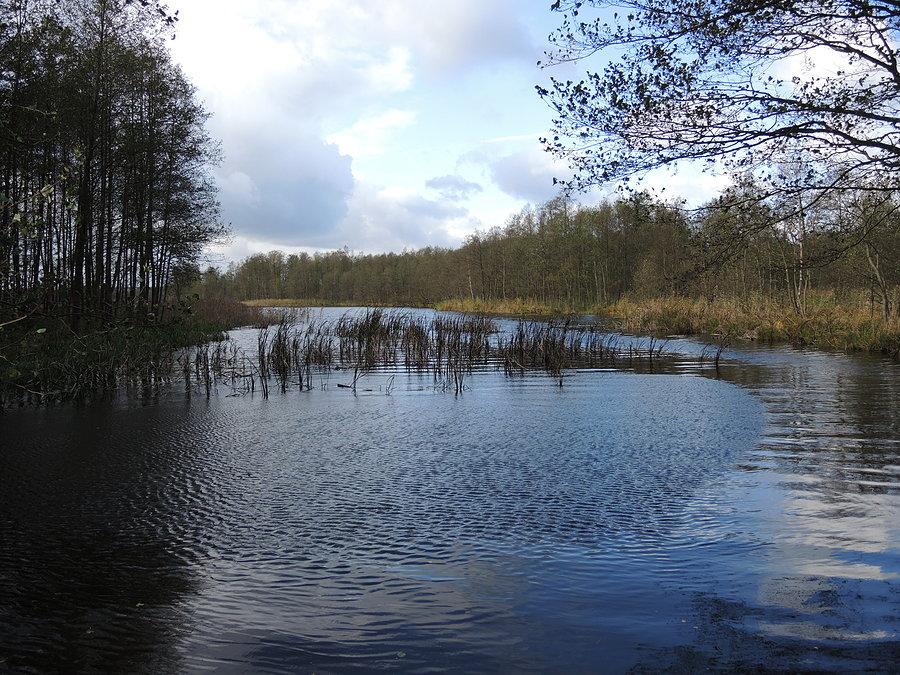Widok w kierunku jeziora Wielkiego
