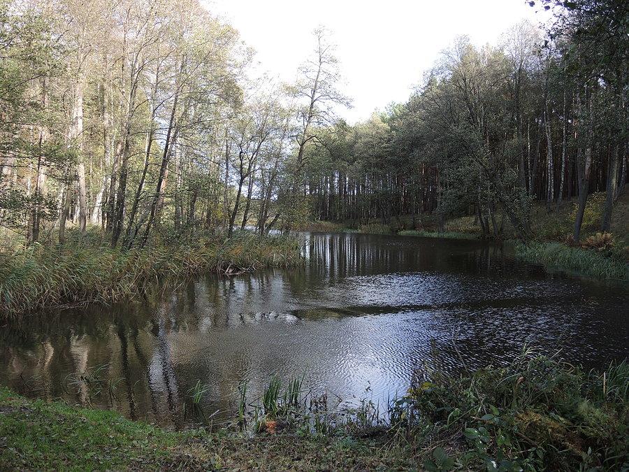 Widok w kierunku jeziora Małego