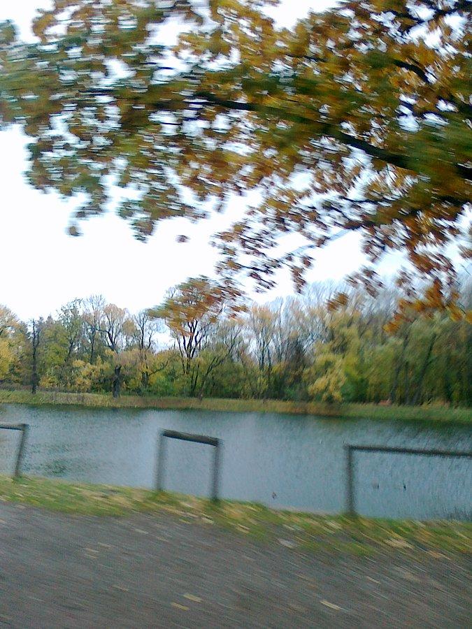 Drugi staw