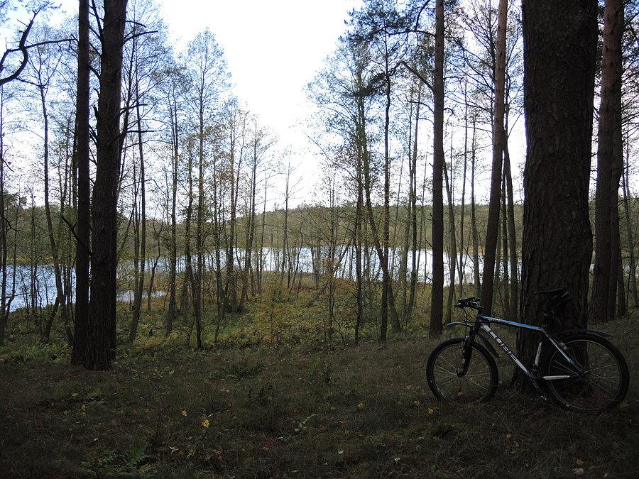 Jezioro Małe w Puszczy Noteckiej / dostęp do brzegu jest utrudniony ze względu na bagnisty teren