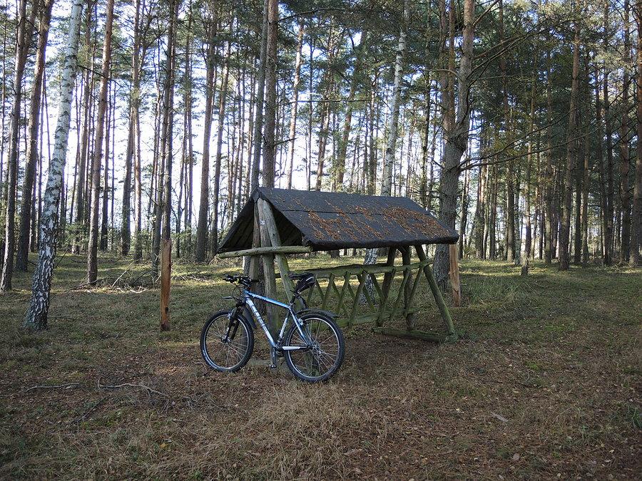 Okolice Jeziora Książe - paśnik