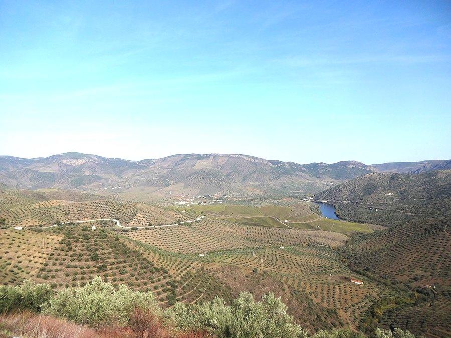 PN International Douro