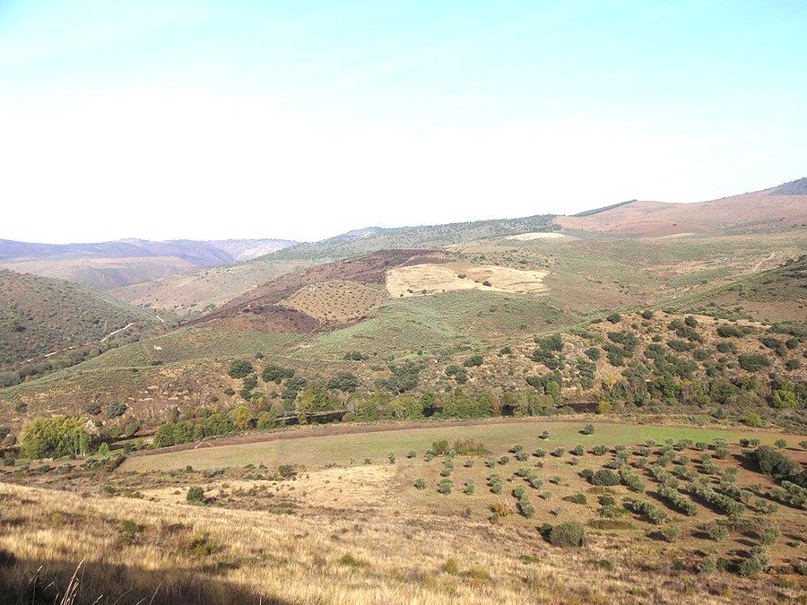 Widok / View