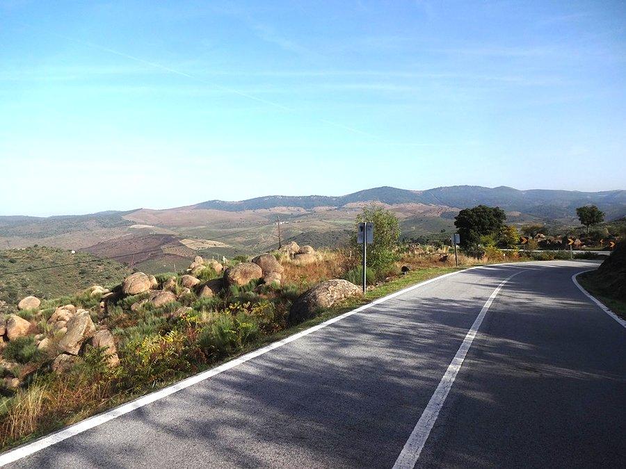 Zjazd / Downhill